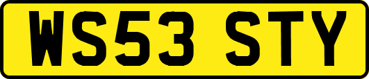 WS53STY