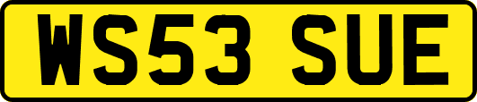 WS53SUE