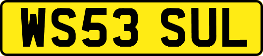 WS53SUL