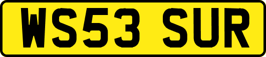 WS53SUR
