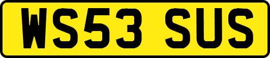 WS53SUS