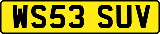 WS53SUV
