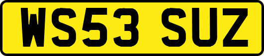 WS53SUZ
