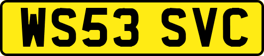 WS53SVC