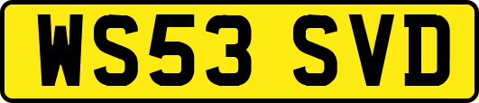 WS53SVD