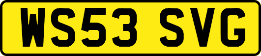 WS53SVG