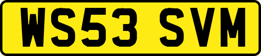WS53SVM