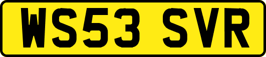WS53SVR