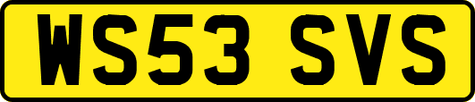 WS53SVS