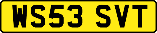WS53SVT