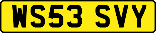 WS53SVY