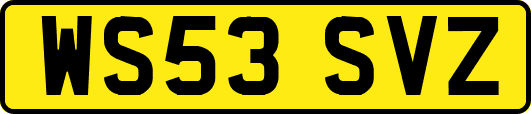 WS53SVZ