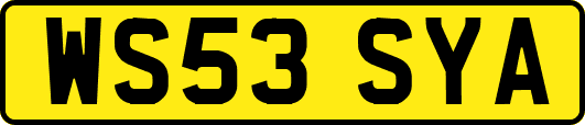 WS53SYA