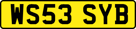 WS53SYB