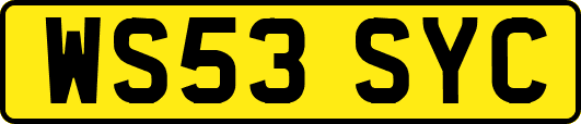 WS53SYC
