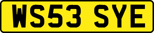 WS53SYE