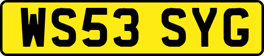 WS53SYG
