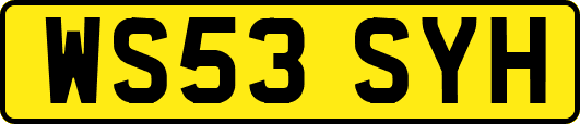 WS53SYH