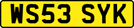 WS53SYK