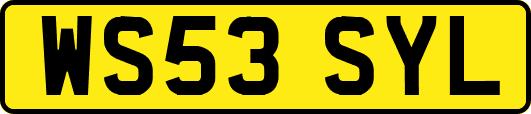 WS53SYL