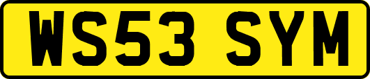 WS53SYM