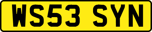 WS53SYN