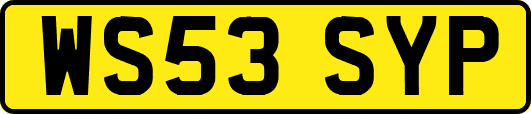 WS53SYP