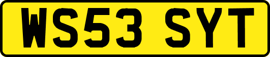 WS53SYT