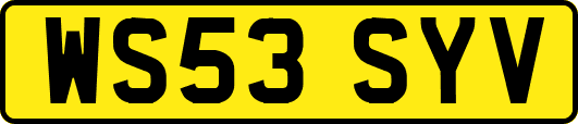 WS53SYV
