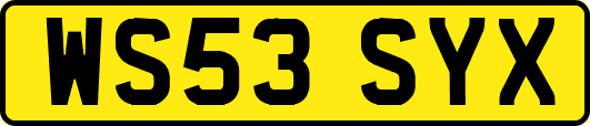 WS53SYX