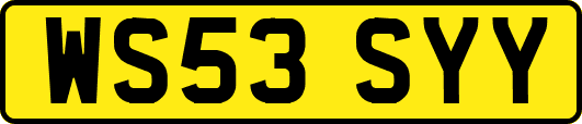 WS53SYY
