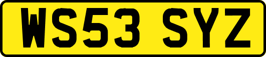 WS53SYZ