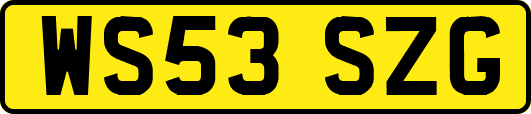 WS53SZG