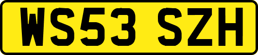 WS53SZH