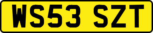 WS53SZT