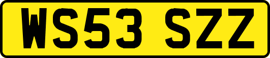 WS53SZZ