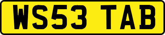 WS53TAB