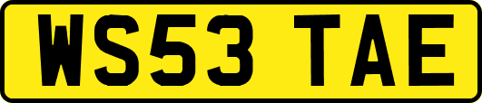 WS53TAE