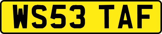 WS53TAF