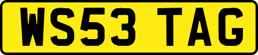WS53TAG