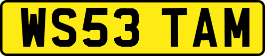 WS53TAM