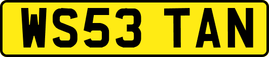 WS53TAN