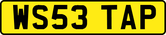 WS53TAP