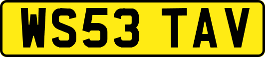WS53TAV