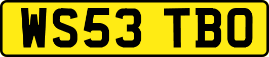 WS53TBO