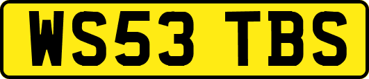 WS53TBS