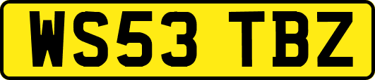 WS53TBZ