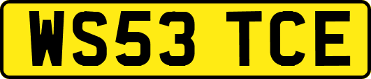 WS53TCE