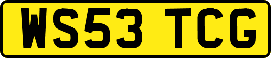 WS53TCG