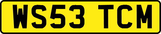 WS53TCM